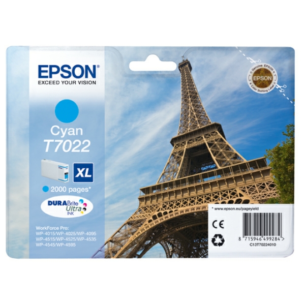 Epson C 13 T 70224010 T7022 Tinte Cyan