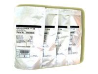 Ricoh D1369680 Entwicklereinheit Yellow