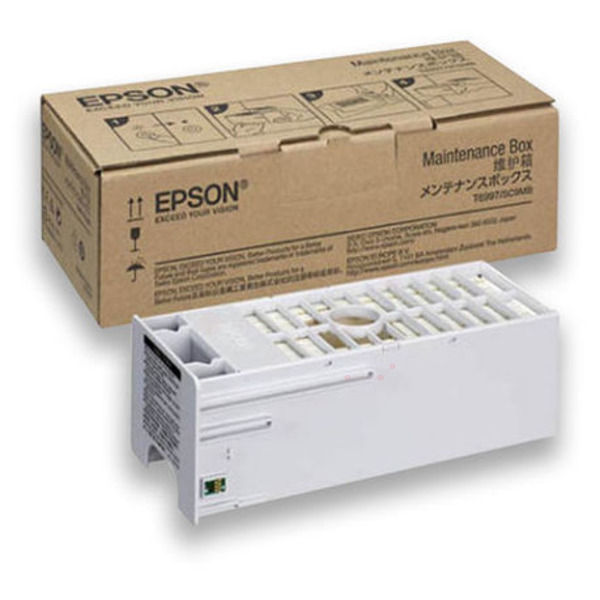 Epson C 13 T 699700 T6997 Resttintenbehälter No Color